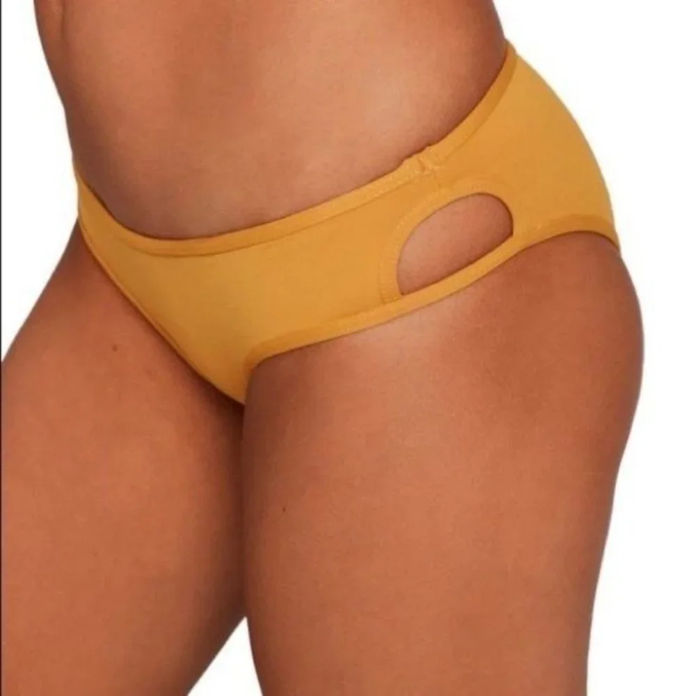 NWT l*space Rachel Bikini Bottom in Bronze